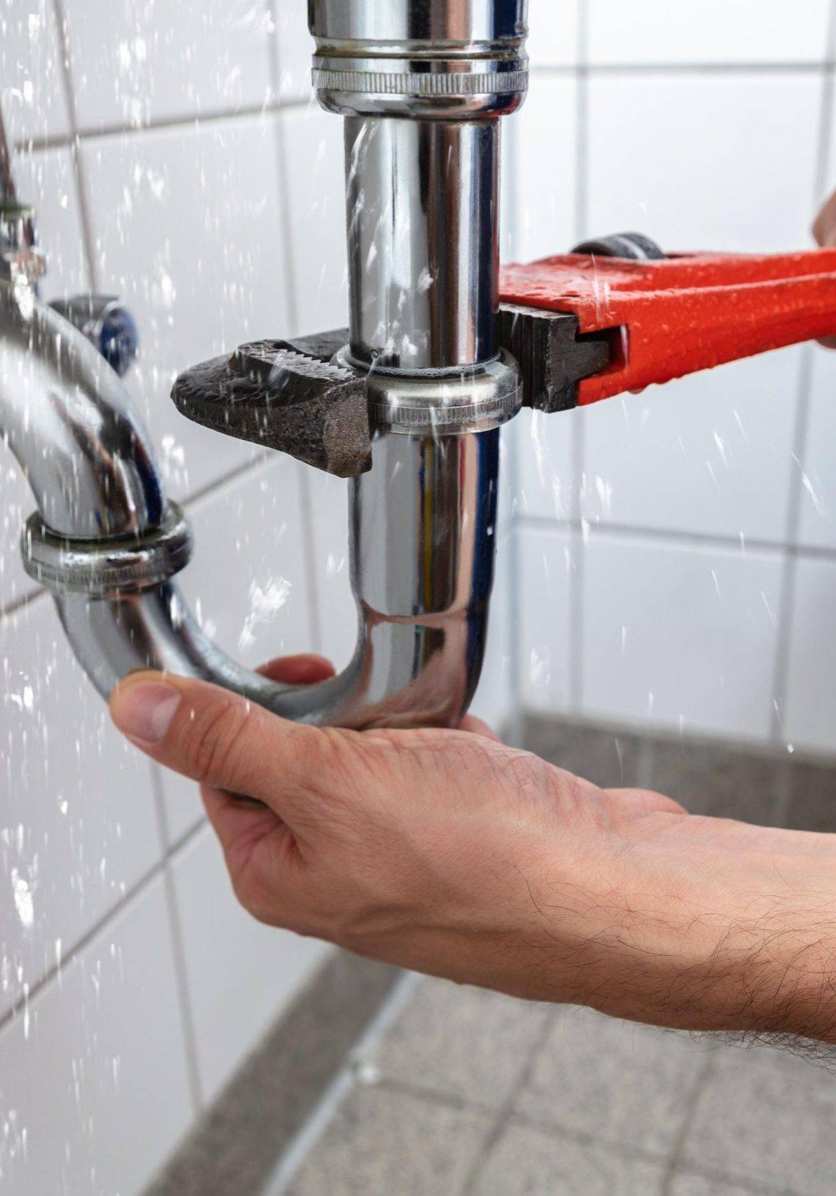 Adobestock 216282910